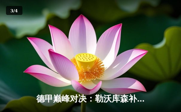 德甲巅峰对决：勒沃库森补时绝杀拜仁，凯恩戴帽难救主 - 3