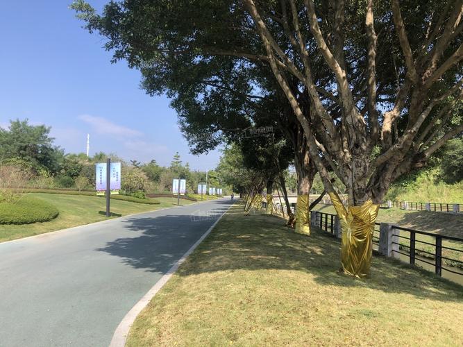 天河云商汇与云商 数字化转型浪潮中的智慧商业生态
